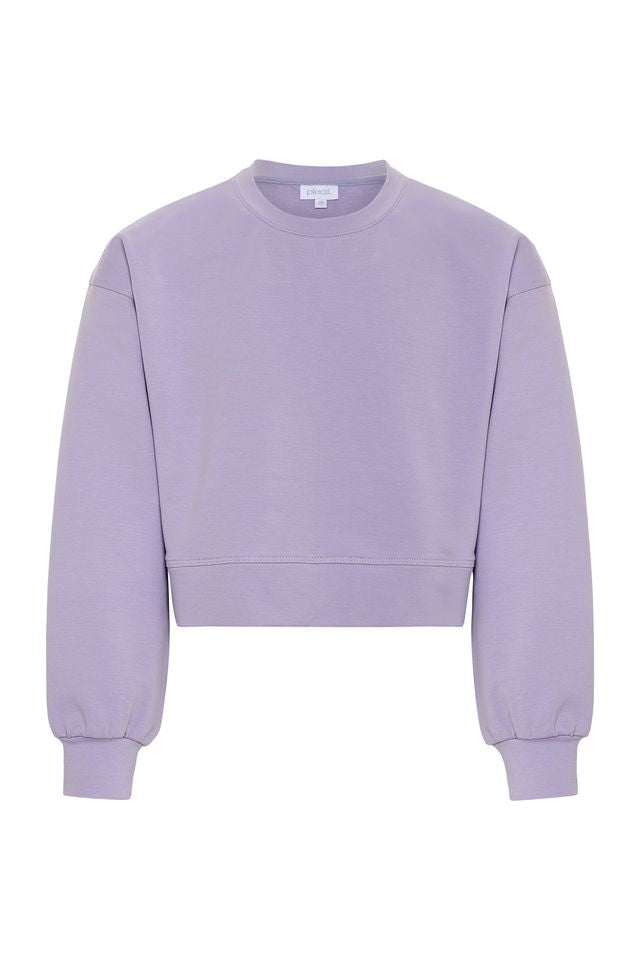 Dora Sweatshirt Purple