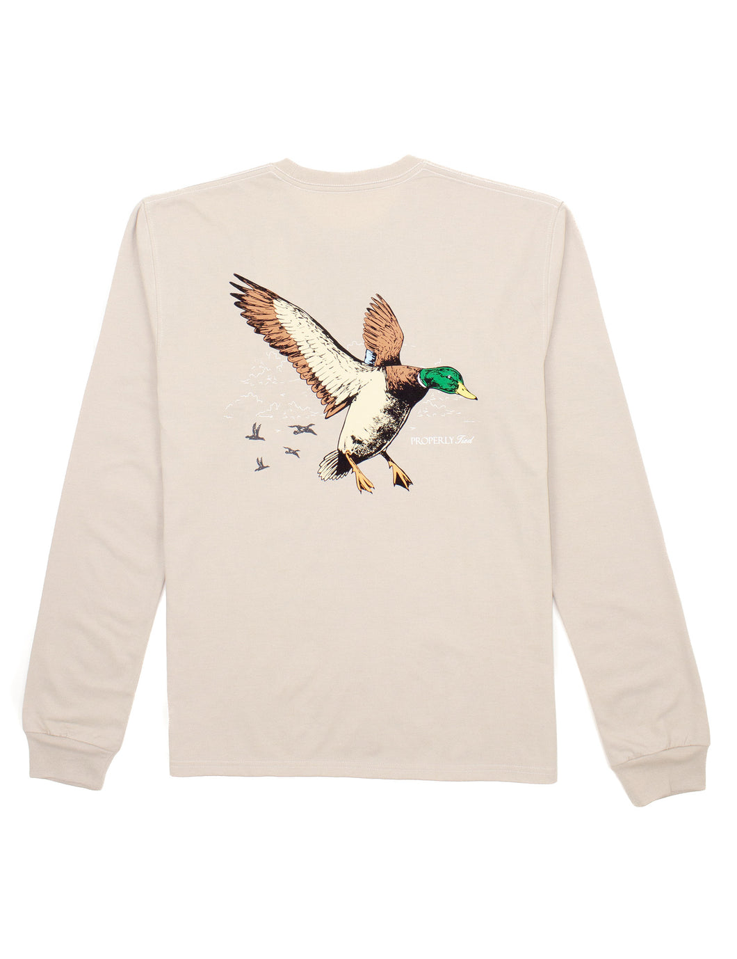 Boys Mallard Flight