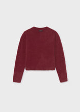 Load image into Gallery viewer, Fuzzy Effect Sweater
