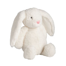 Load image into Gallery viewer, Bunny Plush Pal
