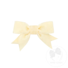 Load image into Gallery viewer, Mini Velvet Bowtie w/Fancy Tails
