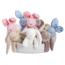 Load image into Gallery viewer, Bunny Plush Pal
