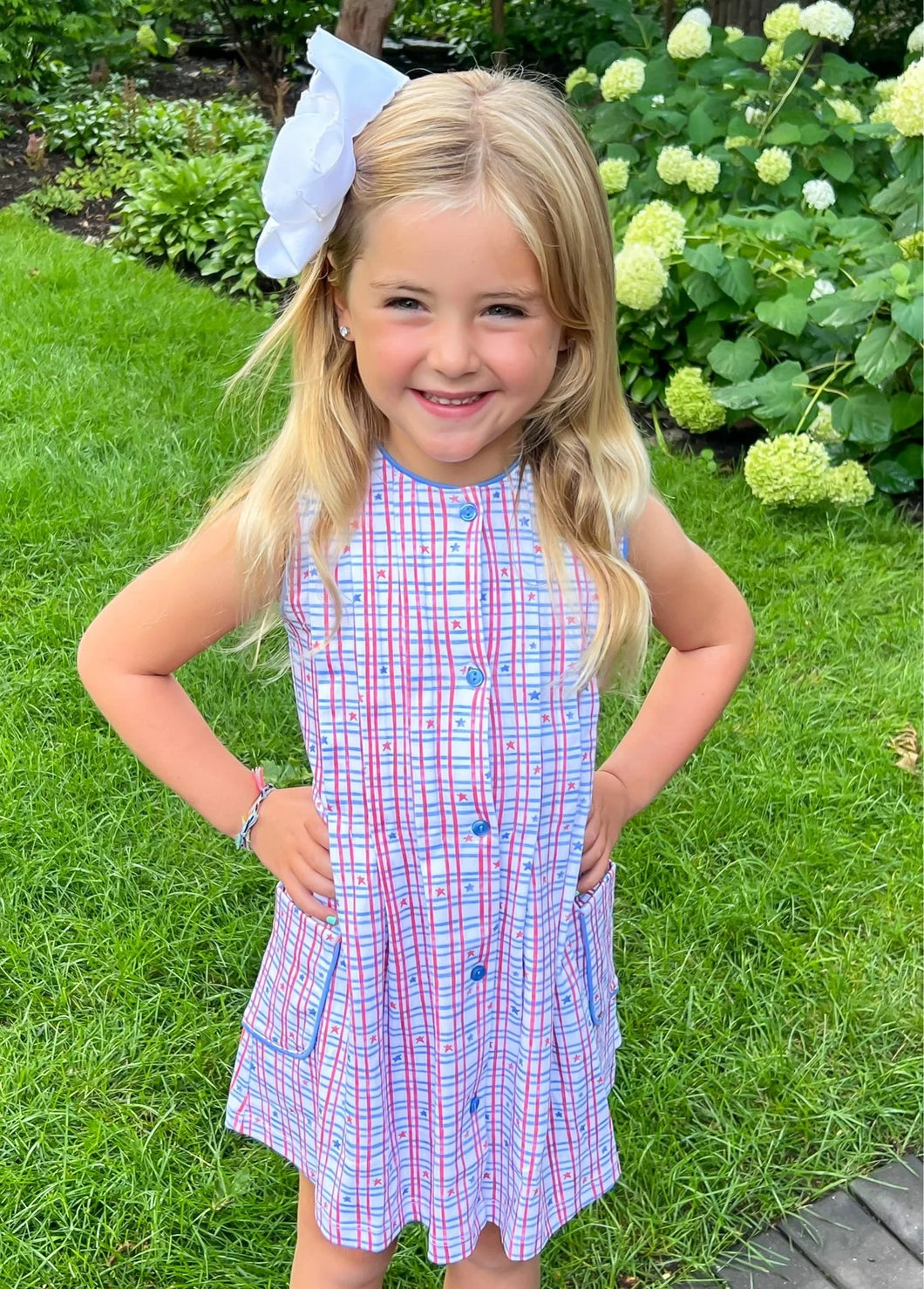 Reagan Dress Patriotic Knit