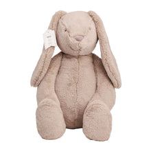 Load image into Gallery viewer, Large Bunny Plush
